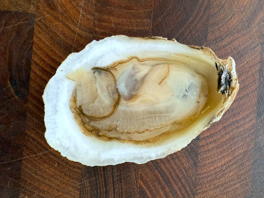 Glidden Point Oyster Farm