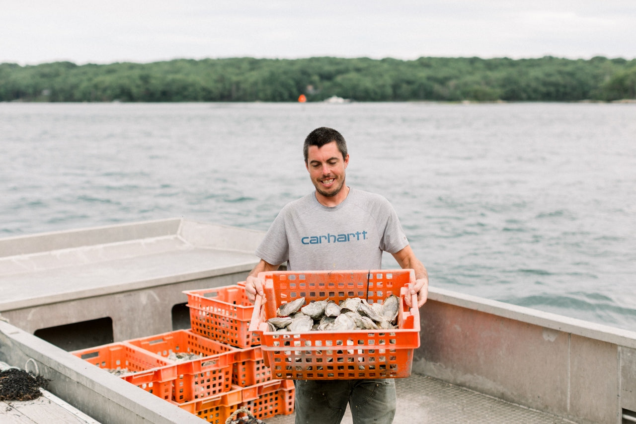 FARM HIGHLIGHT: NORUMBEGA