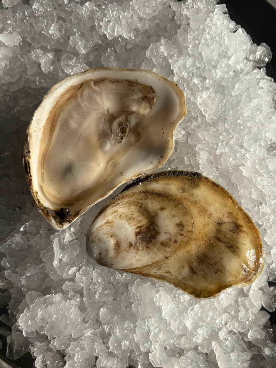 Butterfields: Oysters to Butter You Up for Summer