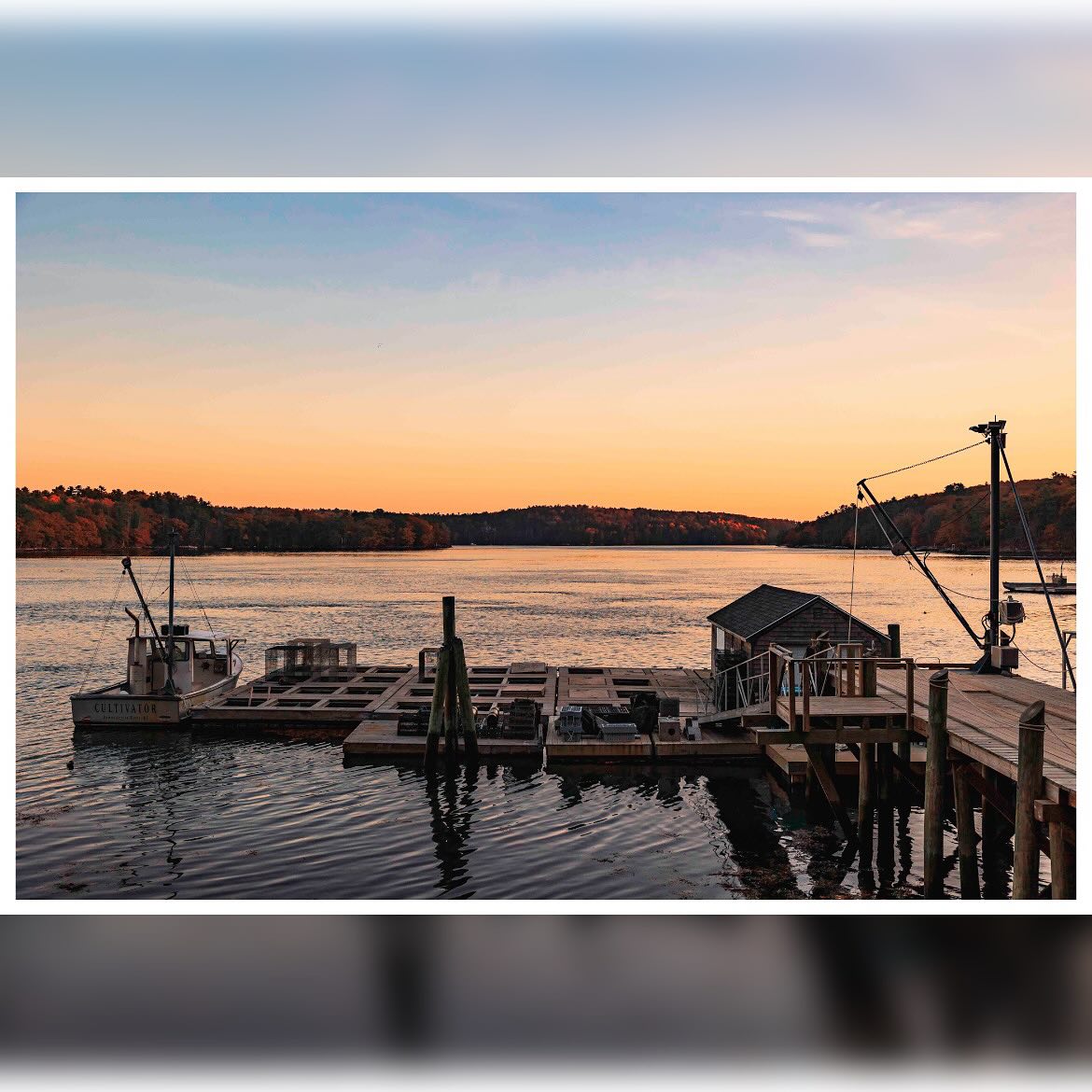 The Damariscotta Influence: How Nature Shapes Flavor