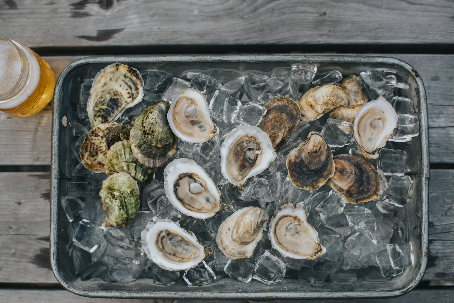 All Oysters