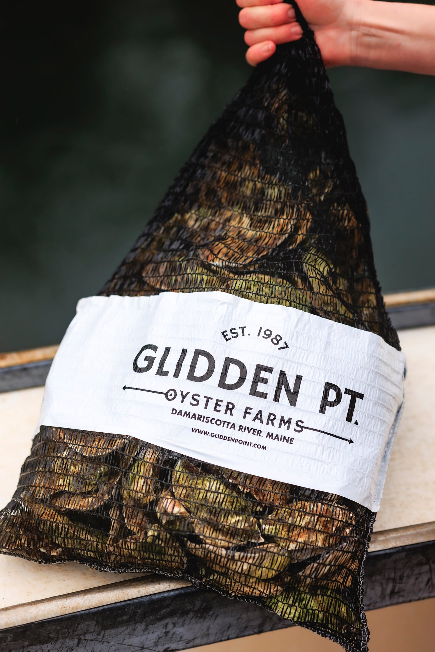 The Glidden Point Collection