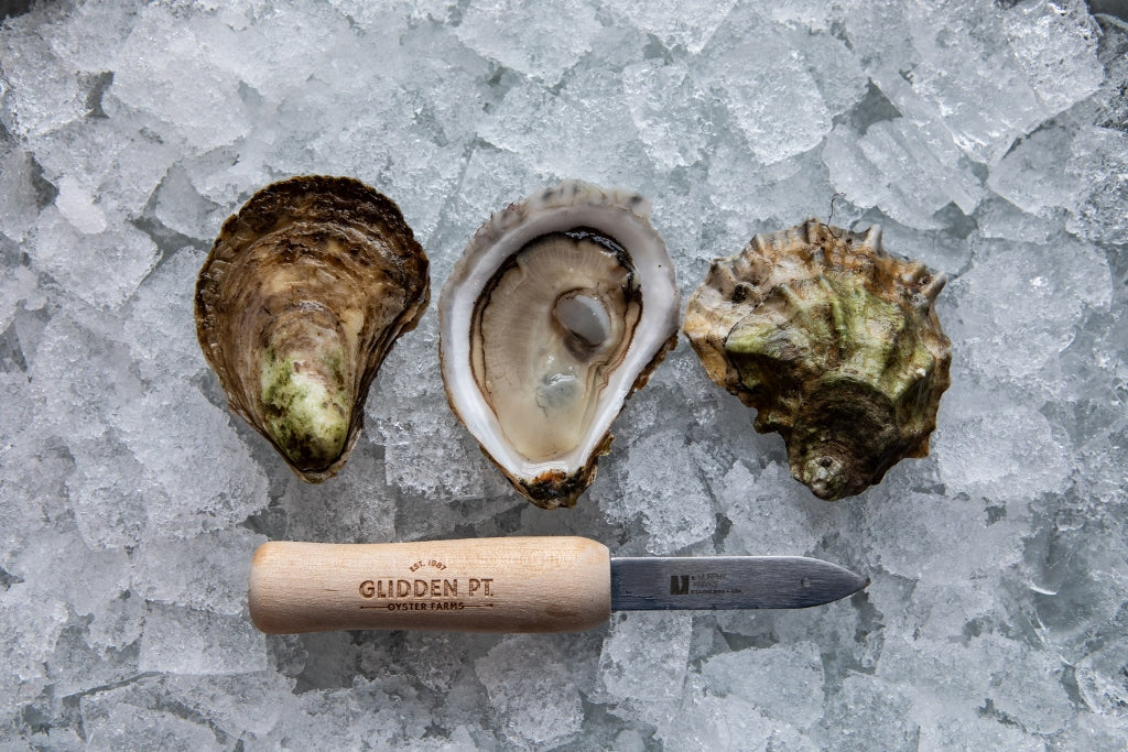 Flying Point Oysters