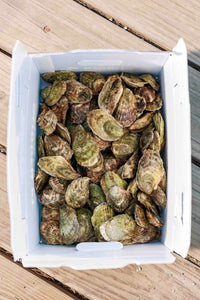 Glidden Point Topsider Oysters – Fresh Maine Oysters Shipped