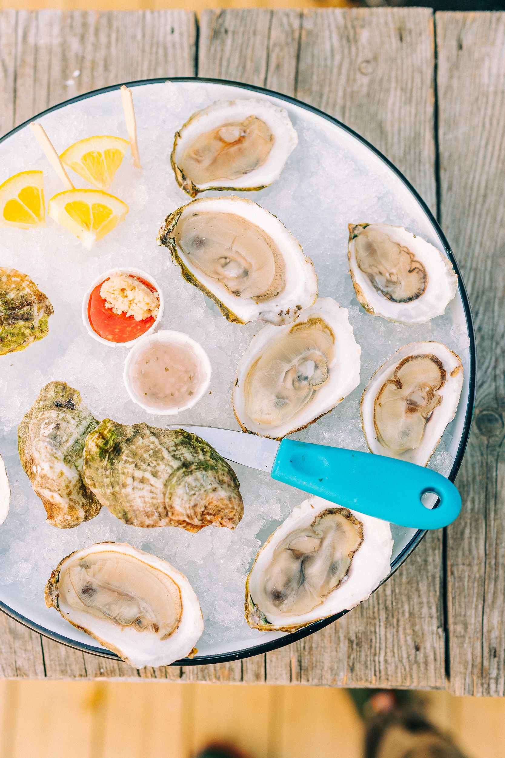 Oyster Hosting Kit