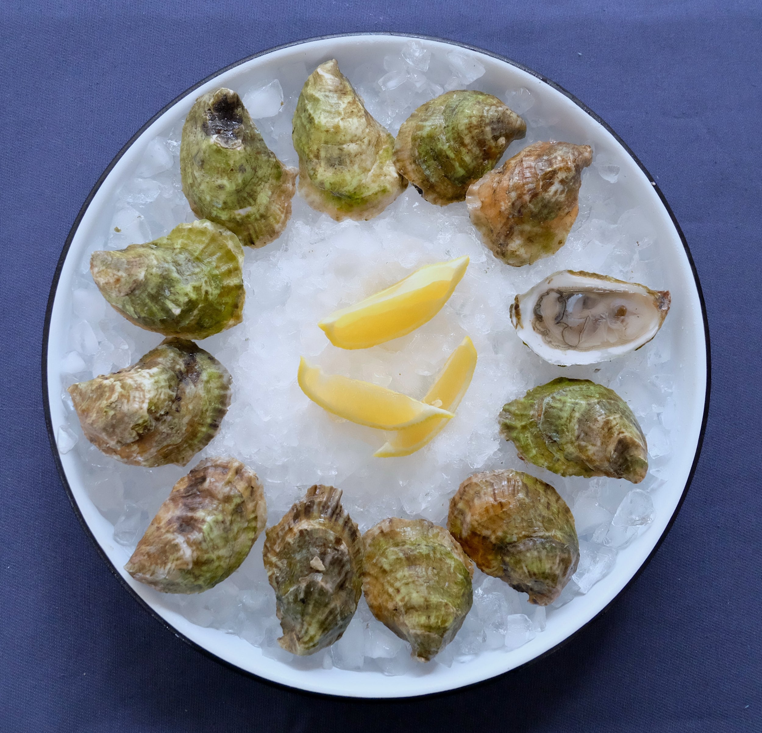 Glidden Point Topsider Oysters – Fresh Maine Oysters Shipped