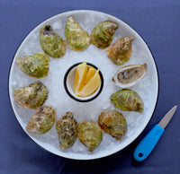 Glidden Point Topsider Oysters – Fresh Maine Oysters Shipped