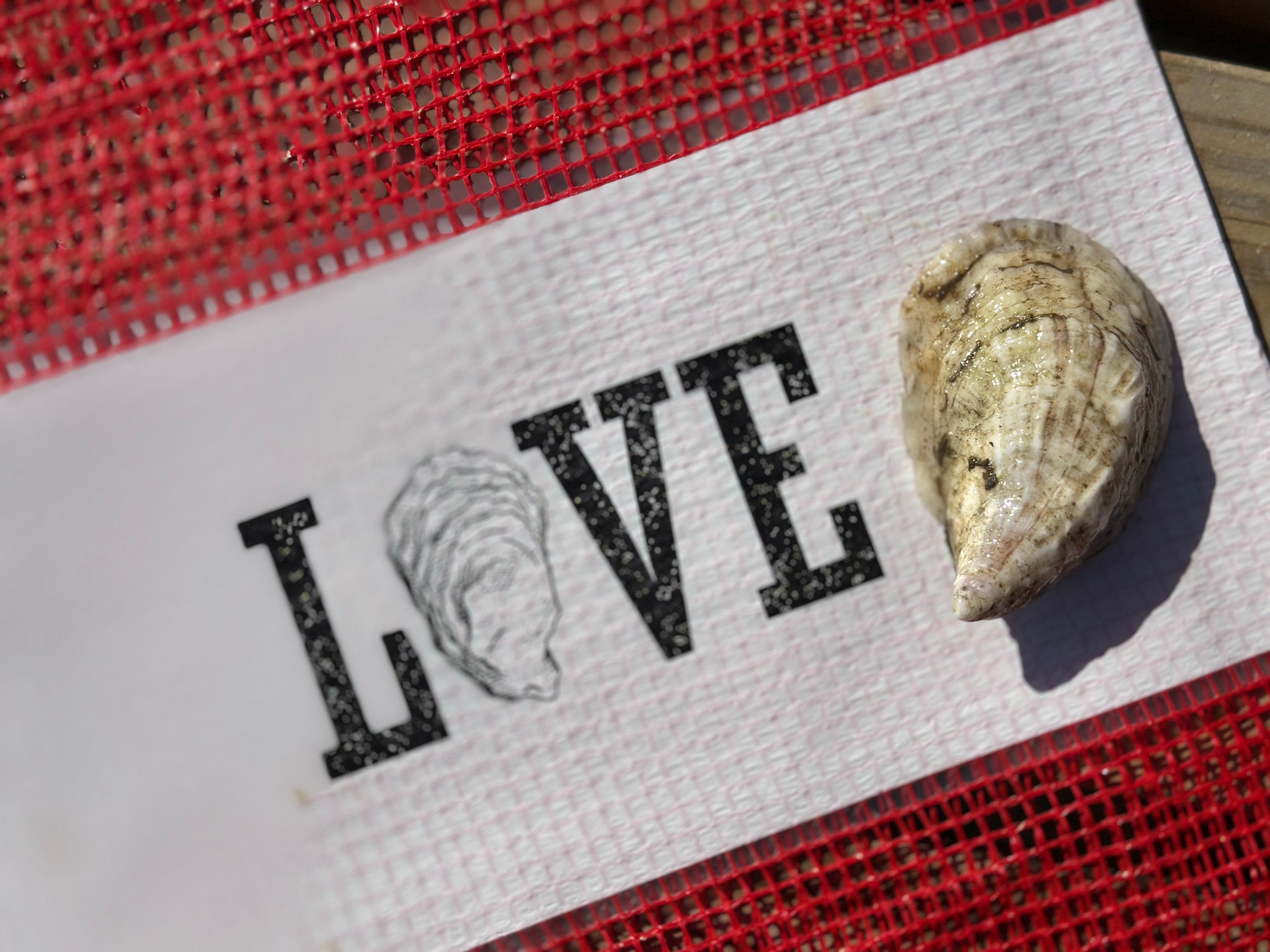 Love Point Oysters