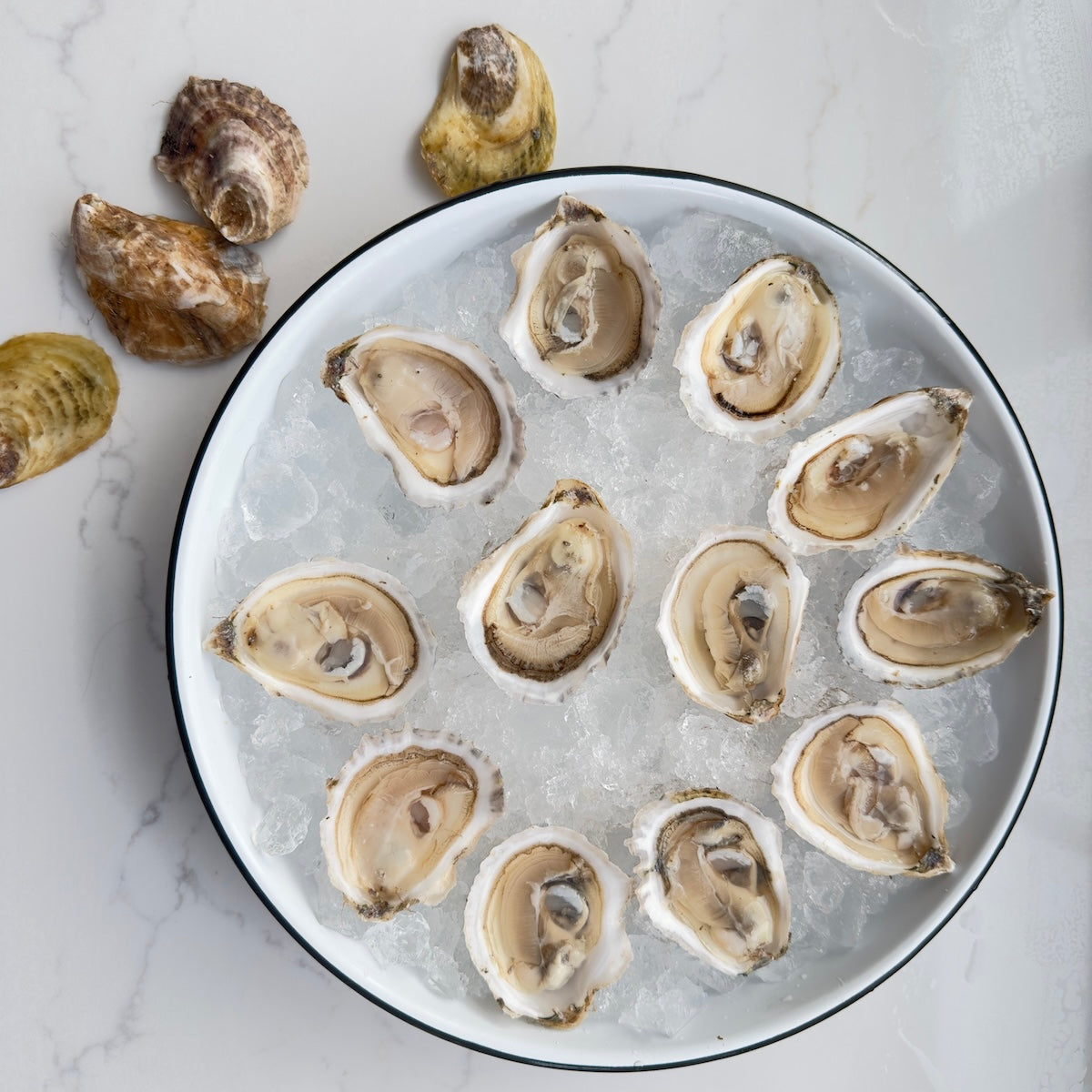 Glidden Point Topsider Oysters