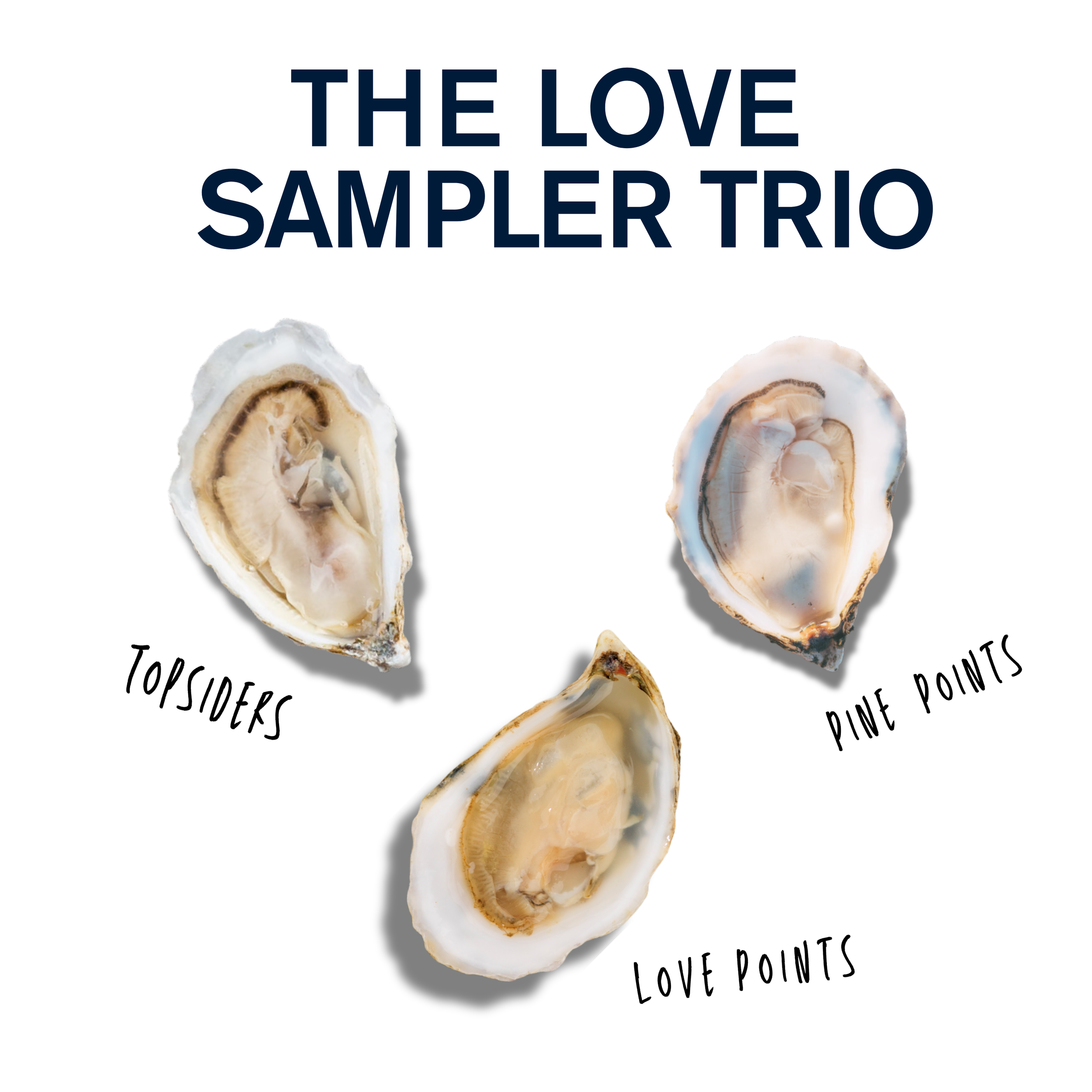 The LOVE Sampler Trio