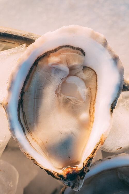 Love Point Oysters