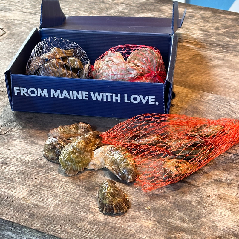 The Oyster Sampler Trio