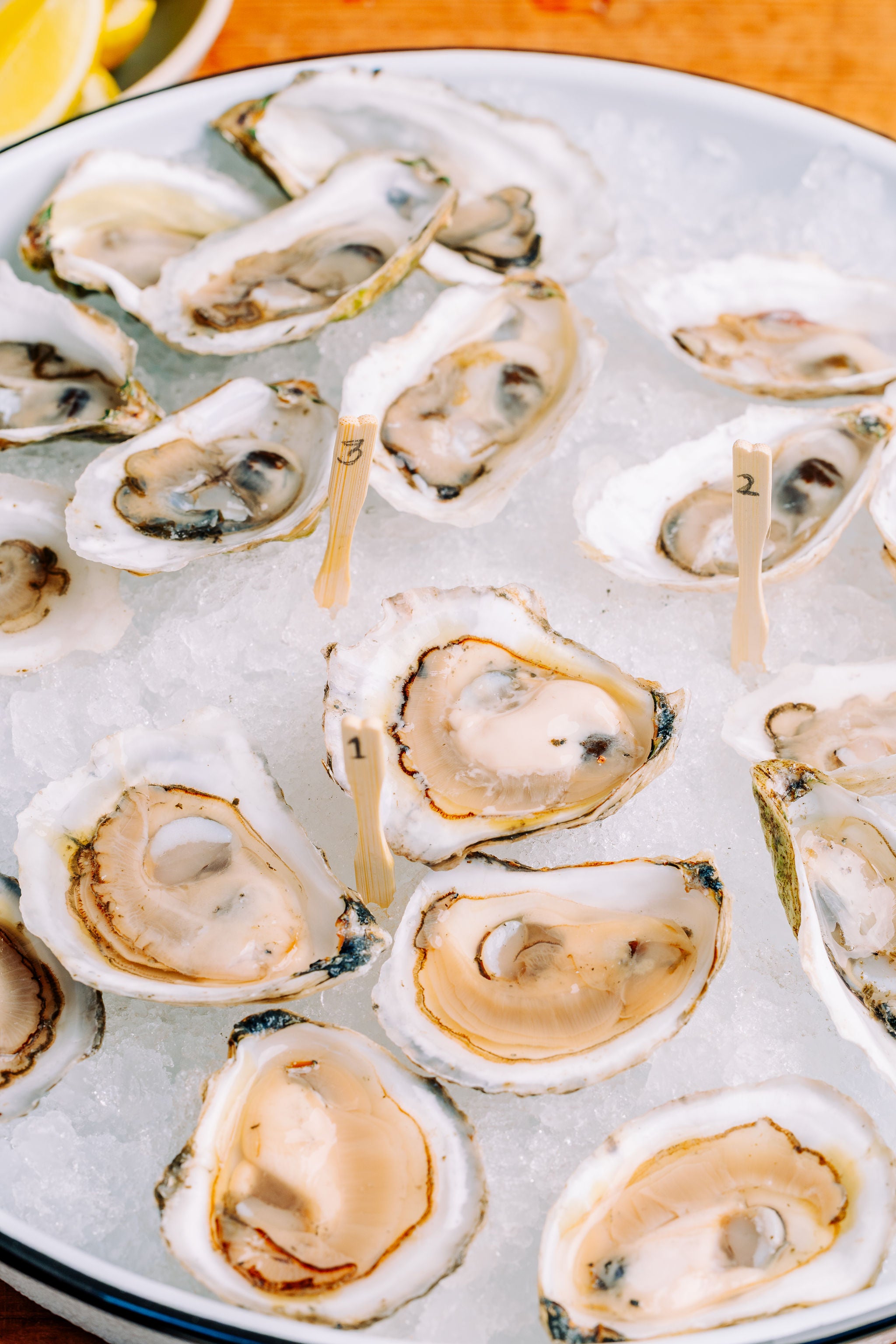 The Oyster Sampler Trio