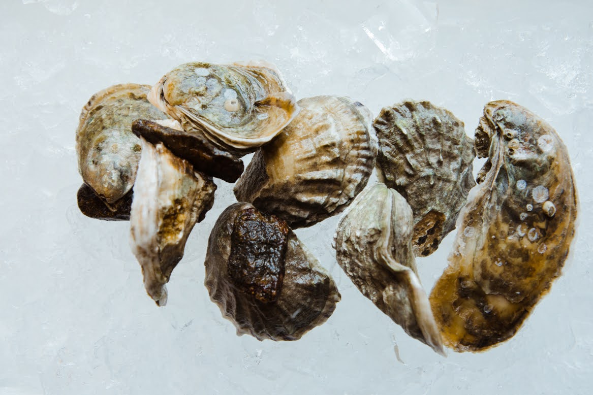 The High Noon Oyster Duel - Limited Supply!