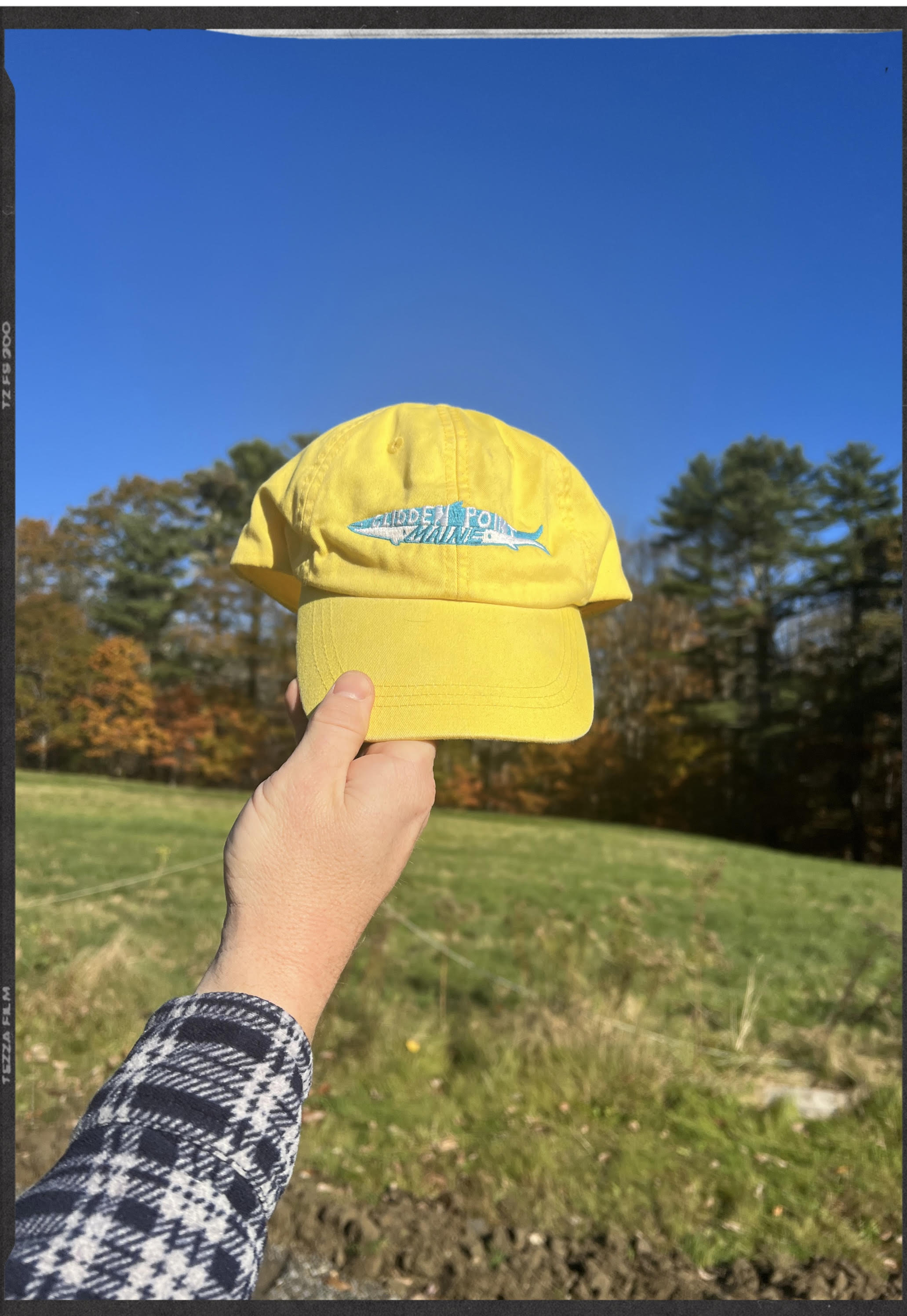 Ty Williams Everyday Hat