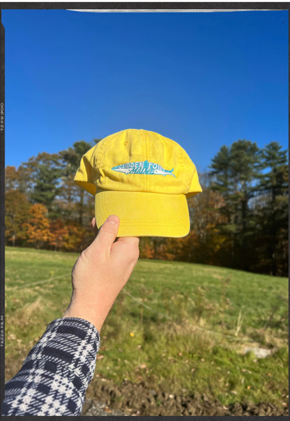Ty Williams Everyday Hat