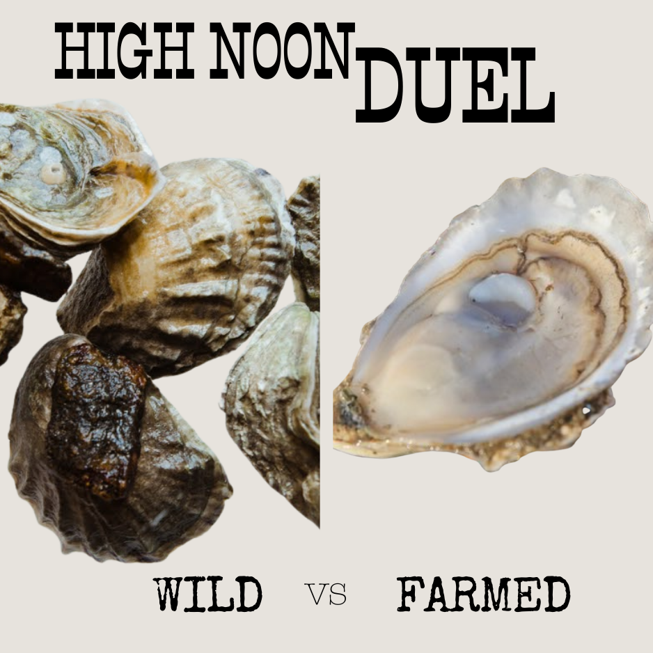 The High Noon Oyster Duel - Limited Supply!