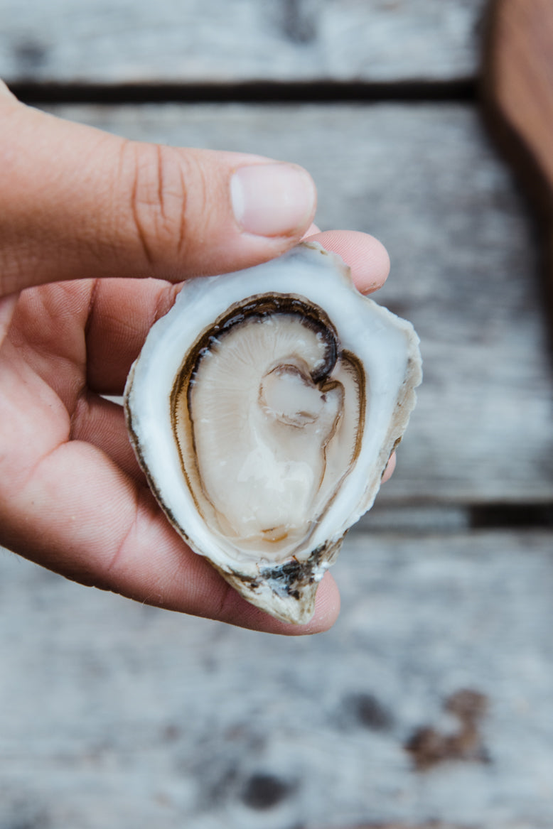 GLIDDEN POINT OYSTERS - NEW YEARS ORDER