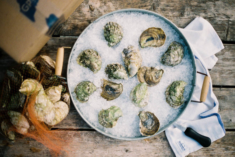 Shuck at Home Kit – Mere Point Oyster Company