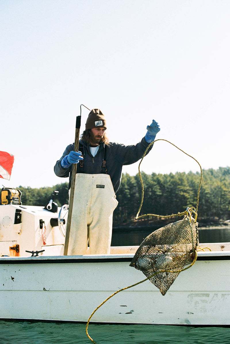 50 Count Glidden Point Oysters