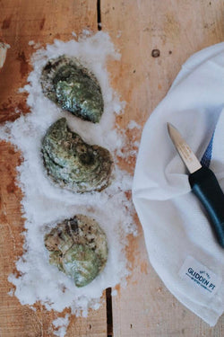 Chef's Shucking Towel